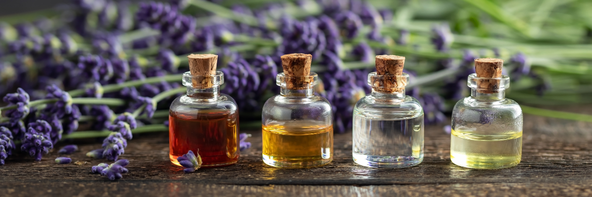 Copie de calme luxe et volupte 1200 x 400 px zip 66