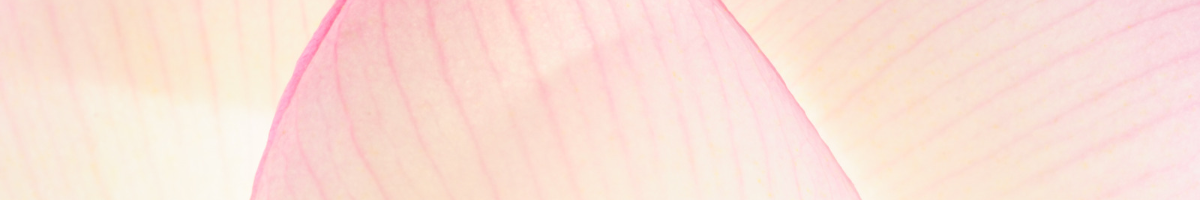 Copie de calme luxe et volupte 1200 x 400 px 1