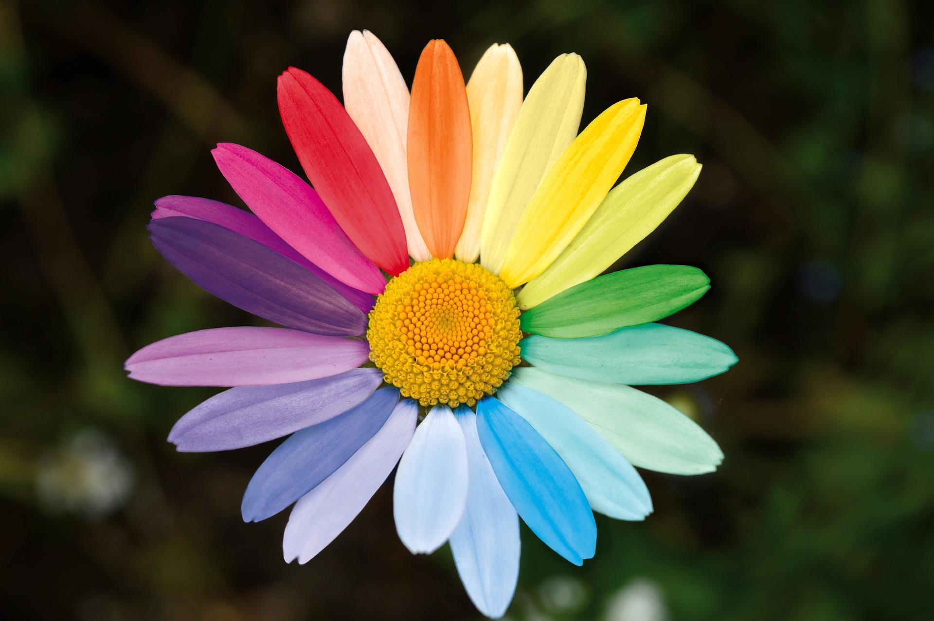 Marguerite g44f11acdc 1920