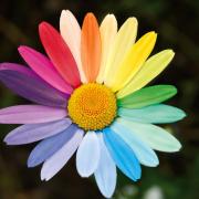 Marguerite g44f11acdc 1920