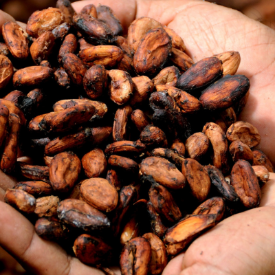 Olfe a cacao imbolc 2